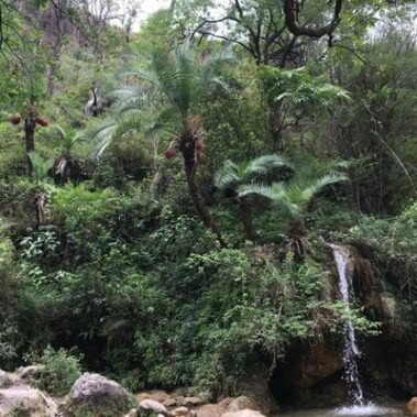 Taras-World-Meditatewithme_Waterfall