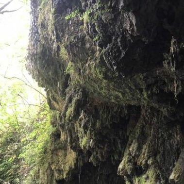 Taras-World-Meditatewithme_Waterfall